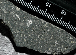 Click on image for close-up view of CAIs and chondrules