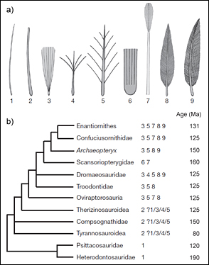 After Xu et al 2010