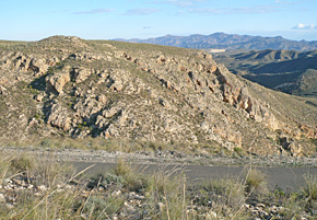 Reef-forereef to basin transition from left to right, Rambla de los Castanos, Cariatiz, SE Spain Reef-forereef to basin transition from left to right, Rambla de los Castanos, Cariatiz, SE Spain