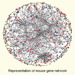 from Xu et al., Molecular Systems Biology 3 (2007)