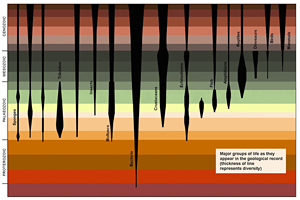 Click on image for full-size view Click on image for full-size view