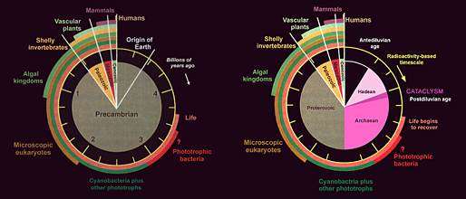 Creation timescale